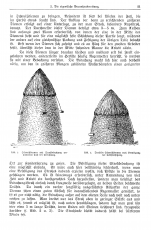 Die Braunheubereitung / Herstellung von Braunheu