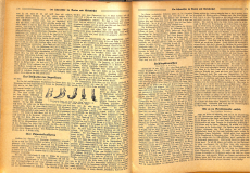 Der Lehrmeister im Garten und Kleintierhof 22. Jg. 1924 (Gebrauchtbuch)