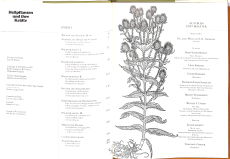 Heilpflanzen und ihre Kräfte (Gebrauchtbuch)
