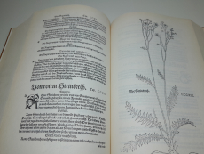 Leonhart Fuchs - Kreutterbuch Kräuterbuch 1543 (Repr., Gebrauchtbuch)