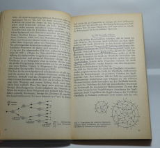 Kernexplosionen und ihre Wirkungen (Gebrauchtbuch)