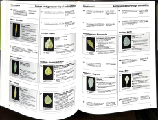 Bäume und Sträucher Bestimmungsbuch 1600 Fotos (Gebrauchtbuch)