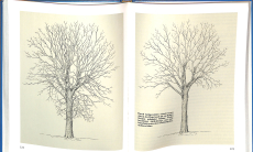 Gehölzschnitt (Gebrauchtbuch)