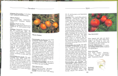 Großvaters Alte Obstsorten (Gebrauchtbuch)