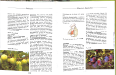 Großvaters Alte Obstsorten (Gebrauchtbuch)