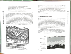 W.D. Storl - Der Kosmos im Garten (Gebrauchtbuch)