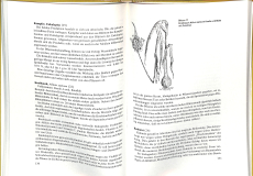 Naturgemäße Pflanzenschutzmittel (Gebrauchtbuch)