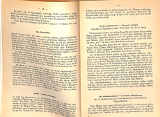 Chrut und Uchrut - Pfarrer Künzle (Gebrauchtbuch)