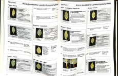 Bestimmungsbuch Bäume und Sträucher Godet-Gehölzführer (Gebrauchtbuch)