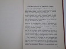 Krankheit - Ihr Ursprung und ihre Heilung Dr. Helmut Hessenbruch (Gebrauchtbuch)