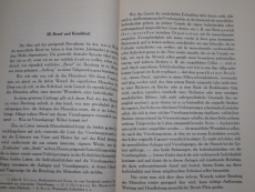 Krankheit - Ihr Ursprung und ihre Heilung Dr. Helmut Hessenbruch (Gebrauchtbuch)