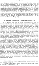 Russische Volksheilmittel aus dem Pflanzenreiche W. Demitsch