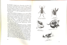 Naturgemässe Schädlingsabwehr im Garten- und Obstbau (Gebrauchtbuch)
