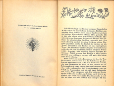 Du wirst gesund - Die Heilfpflanzen und ihre Anwendung (Gebrauchtbuch)
