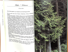 Ernten ohne zu säen - Kleine Wildpflanzenkunde (Gebrauchtbuch)