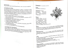 Unser Kräutergärtlein - Ulrike Lindner (Gebrauchtbuch)