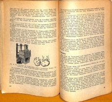 Gemüsebau im Selbstversorgergarten A. Eipeldauer (Gebrauchtbuch)