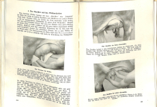 Erfolgreiche Milchwirtschaft Kuhhaltung Melken usw. (Gebrauchtbuch)