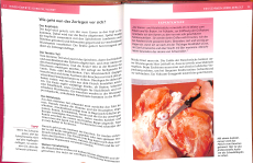 Würste und Pasteten hausgemacht (Gebrauchtbuch)