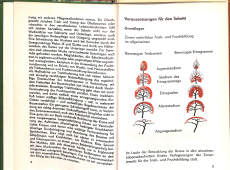 Schnitt der Obstgehölze (Gebrauchtbuch)