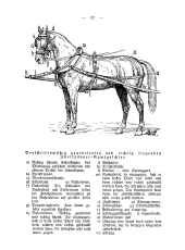 Anweisungen für das Fahren mit dem Zweispänner