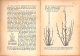 Unsere Beerensträucher (Gebrauchtbuch)
