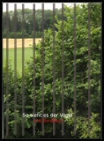 Birdpen Set - Schutz gegen Vogelschlag am Fenster